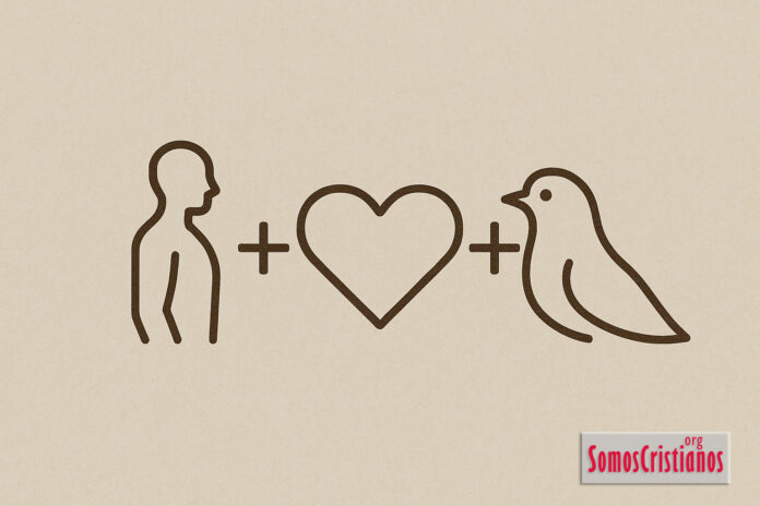 Espíritu, alma y cuerpo: ¿el orden sí importa?