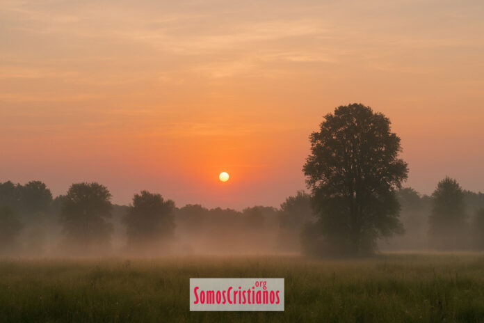 Empieza tu día con paz: devocional del Salmo 5.