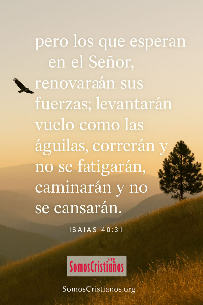 Devocional - 8 De Abril : Dios Renueva Tus Fuerzas. Tiempo con dios – 5 de diciembre 2025 – dios renueva tus fuerzas.